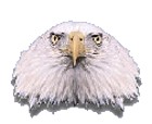 Frankfurt Eagles!